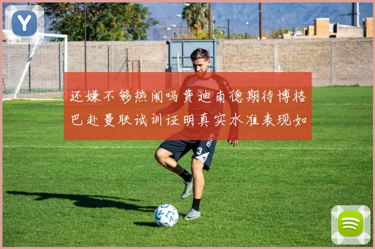 还嫌不够热闹吗费迪南德期待博格巴赴曼联试训证明真实水准表现如何