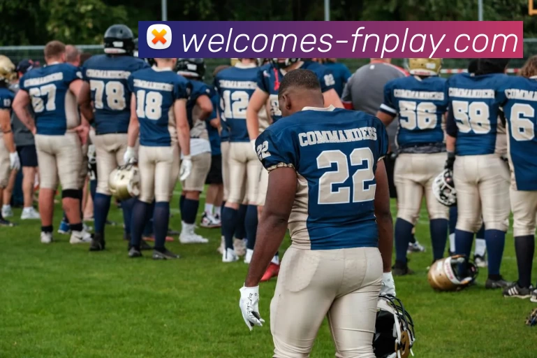 蜂鸟电竞平台服务体系